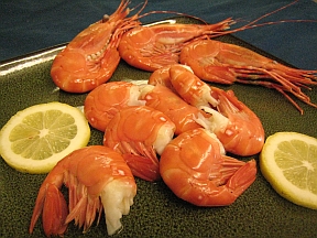 shrimp-close-up