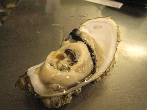 oyster-eating